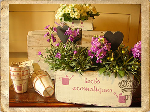 Herbs aromatiques Shabby Chic